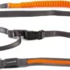 Beeztees Jogginglijn Safety Gear Grijs 180-200 Cm -Beeztees || ROYAL CANIN || FLEXI Verkoopwinkel 8712695163367 1
