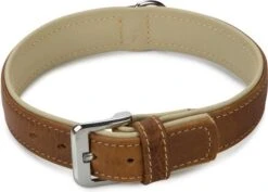 Beeztees Hondenhalsband Comfort Bruin 50 X 3 Cm