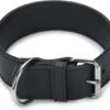 Beeztees Hondenhalsband Vintage Zwart 60 X 5 Cm -Beeztees || ROYAL CANIN || FLEXI Verkoopwinkel 8712695165576 1