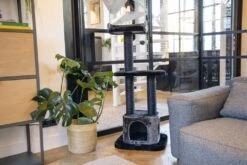 Beeztees Krabpaal Bondica Zwat 50 X 50 X 120 Cm -Beeztees || ROYAL CANIN || FLEXI Verkoopwinkel 8712695167020 4