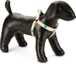 Beeztees Hondentuig Uni Beige 46-75 X 2 Cm