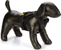 Beeztees Hondentuig Parinca Premium Zwart 53-65 X 2,5 Cm