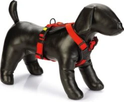 Beeztees Hondentuig Parinca Premium Rood 45-57 X 2 Cm