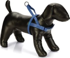 Beeztees Hondentuig Parinca Premium Comfort Blauw 62-74 X 2,5 Cm