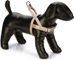 Beeztees Hondentuig Parinca Premium Comfort Grijs 42-53 X 2 Cm