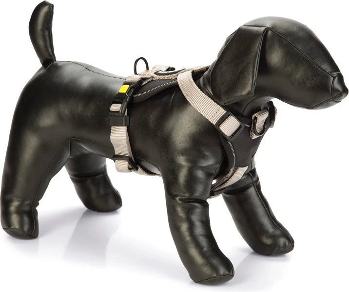 Beeztees Hondentuig Parinca Premium Grijs 45-57 X 2 Cm 3 Beeztees Hondentuig Parinca Premium Grijs 45-57 X 2 Cm