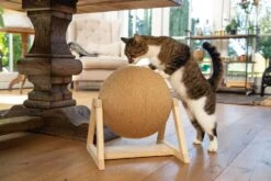 Designed By Lotte Krabbol Op Voet Xem Bruin 34 X 30 X 35,5 Cm -Beeztees || ROYAL CANIN || FLEXI Verkoopwinkel 8712695185185 2