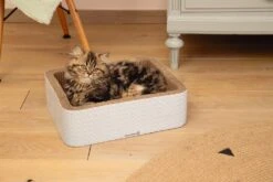 Beeztees Krabmeubel Kero Blauw 40 X 31 X 12 Cm -Beeztees || ROYAL CANIN || FLEXI Verkoopwinkel 8712695185727 4