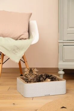 Beeztees Krabmeubel Kero Blauw 40 X 31 X 12 Cm -Beeztees || ROYAL CANIN || FLEXI Verkoopwinkel 8712695185727 5