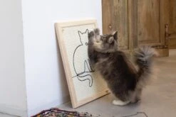 Designed By Lotte Krabplank Sammy Bruin 50 X 40 X 2 Cm -Beeztees || ROYAL CANIN || FLEXI Verkoopwinkel 8712695193296 4