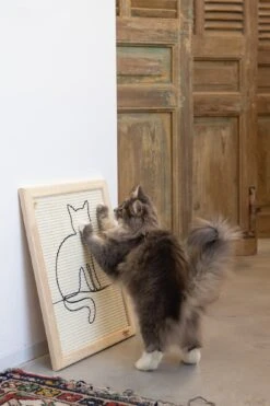 Designed By Lotte Krabplank Sammy Bruin 50 X 40 X 2 Cm -Beeztees || ROYAL CANIN || FLEXI Verkoopwinkel 8712695193296 5