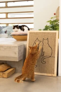 Designed By Lotte Krabplank Poezels Bruin 70 X 50 X 2 Cm -Beeztees || ROYAL CANIN || FLEXI Verkoopwinkel 8712695193302 5