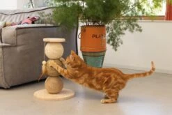 Designed By Lotte Krabbollen Elio Bruin D 34 H 47,5 Cm -Beeztees || ROYAL CANIN || FLEXI Verkoopwinkel 8712695193326 4