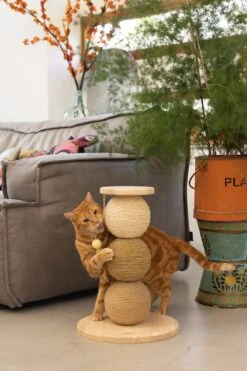 Designed By Lotte Krabbollen Elio Bruin D 34 H 47,5 Cm -Beeztees || ROYAL CANIN || FLEXI Verkoopwinkel 8712695193326 5