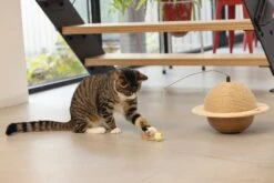 Designed By Lotte Krabbol Balty Bruin D 29,5 H 20 Cm -Beeztees || ROYAL CANIN || FLEXI Verkoopwinkel 8712695193333 4