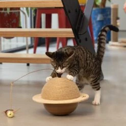 Designed By Lotte Krabbol Balty Bruin D 29,5 H 20 Cm -Beeztees || ROYAL CANIN || FLEXI Verkoopwinkel 8712695193333 5