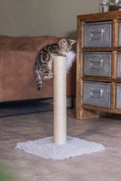 Beeztees Krabpaal Atila Grijs 35 X 35 X 53 Cm -Beeztees || ROYAL CANIN || FLEXI Verkoopwinkel 8712695193647 5