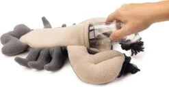 Beeztees Hondenspeelgoed Minus One Kreeft Grijs/beige 41 X 25 X 17 Cm 5 Beeztees Hondenspeelgoed Minus One Kreeft Grijs/beige 41 X 25 X 17 Cm -Beeztees || ROYAL CANIN || FLEXI Verkoopwinkel 8712695197096 2