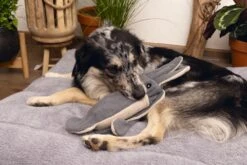 Beeztees Hondenspeelgoed Minus One Inktvis Grijs/beige 56 X 10 X 9 Cm -Beeztees || ROYAL CANIN || FLEXI Verkoopwinkel 8712695197102 3