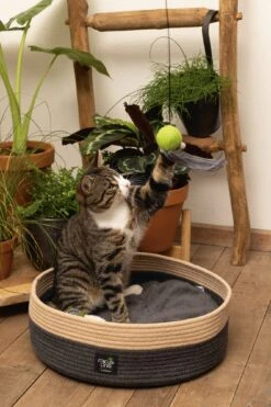 Beeztees Kattenmand Minus One Xana Grijs/bruin D 45 H 14 Cm -Beeztees || ROYAL CANIN || FLEXI Verkoopwinkel 8712695197188 8