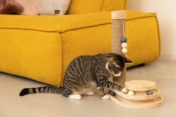 Designed By Lotte Krabpaal Inez Bruin 38 X 24,5 X 47,5 Cm -Beeztees || ROYAL CANIN || FLEXI Verkoopwinkel 8712695197669 4