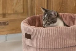 Designed By Lotte Kattenmand Roze D 50 H 35 Cm -Beeztees || ROYAL CANIN || FLEXI Verkoopwinkel 8712695197805 11