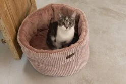 Designed By Lotte Kattenmand Roze D 50 H 35 Cm -Beeztees || ROYAL CANIN || FLEXI Verkoopwinkel 8712695197805 9