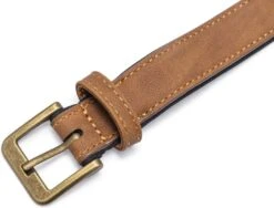 Beeztees Hondenhalsband Balacron Ax Bruin 38-48 X 2,5 Cm -Beeztees || ROYAL CANIN || FLEXI Verkoopwinkel 8712695198468 2