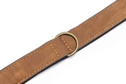 Beeztees Hondenhalsband Balacron Ax Bruin 38-48 X 2,5 Cm -Beeztees || ROYAL CANIN || FLEXI Verkoopwinkel 8712695198468 3