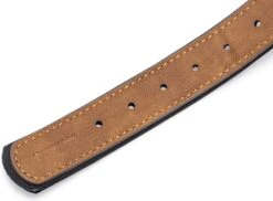 Beeztees Hondenhalsband Balacron Ax Bruin 38-48 X 2,5 Cm -Beeztees || ROYAL CANIN || FLEXI Verkoopwinkel 8712695198468 5