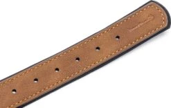 Beeztees Hondenhalsband Balacron Ax Bruin 43-53 X 2,5 Cm -Beeztees || ROYAL CANIN || FLEXI Verkoopwinkel 8712695198475 5