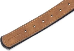 Beeztees Hondenhalsband Balacron Ax Bruin 43-53 X 2,5 Cm -Beeztees || ROYAL CANIN || FLEXI Verkoopwinkel 8712695198475 6