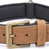 Beeztees Hondenhalsband Balacron Ax Bruin 47-57 X 3 Cm -Beeztees || ROYAL CANIN || FLEXI Verkoopwinkel 8712695198482 0