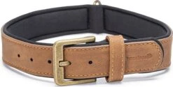 Beeztees Hondenhalsband Balacron Ax Bruin 47-57 X 3 Cm