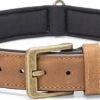 Beeztees Hondenhalsband Balacron Ax Bruin 52-62 X 3 Cm 1 Beeztees Hondenhalsband Balacron Ax Bruin 52-62 X 3 Cm -Beeztees || ROYAL CANIN || FLEXI Verkoopwinkel 8712695198499 0
