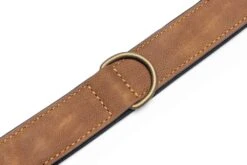 Beeztees Hondenhalsband Balacron Ax Bruin 52-62 X 3 Cm -Beeztees || ROYAL CANIN || FLEXI Verkoopwinkel 8712695198499 4