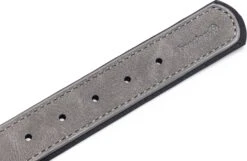 Beeztees Hondenhalsband Balacron Ax Grijs 38-48 X 2,5 Cm -Beeztees || ROYAL CANIN || FLEXI Verkoopwinkel 8712695198703 3