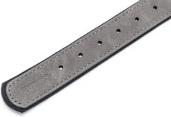 Beeztees Hondenhalsband Balacron Ax Grijs 38-48 X 2,5 Cm -Beeztees || ROYAL CANIN || FLEXI Verkoopwinkel 8712695198703 4