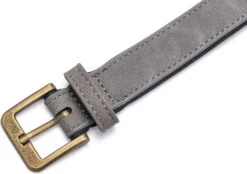 Beeztees Hondenhalsband Balacron Ax Grijs 38-48 X 2,5 Cm -Beeztees || ROYAL CANIN || FLEXI Verkoopwinkel 8712695198703 5