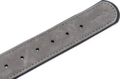 Beeztees Hondenhalsband Balacron Ax Grijs 52-62 X 3 Cm -Beeztees || ROYAL CANIN || FLEXI Verkoopwinkel 8712695198734 4