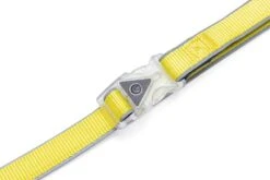 Beeztees Hondenriem Parinca Premium Geel 150 X 2 Cm -Beeztees || ROYAL CANIN || FLEXI Verkoopwinkel 8712695200482 4