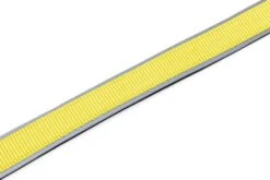 Beeztees Hondenriem Parinca Premium Geel 150 X 2,5 Cm -Beeztees || ROYAL CANIN || FLEXI Verkoopwinkel 8712695200499 3
