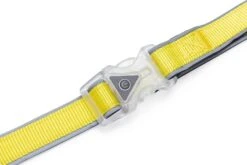 Beeztees Hondenriem Parinca Premium Geel 150 X 2,5 Cm -Beeztees || ROYAL CANIN || FLEXI Verkoopwinkel 8712695200499 5