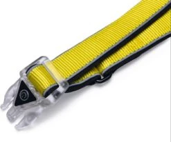 Beeztees Hondenriem Parinca Premium Geel 150 X 2,5 Cm -Beeztees || ROYAL CANIN || FLEXI Verkoopwinkel 8712695200499 6