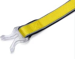 Beeztees Hondenriem Parinca Premium Geel 150 X 2,5 Cm -Beeztees || ROYAL CANIN || FLEXI Verkoopwinkel 8712695200499 8