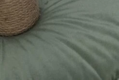 Designed By Lotte Krabpaal Yenna Groen D 41 H 70 Cm -Beeztees || ROYAL CANIN || FLEXI Verkoopwinkel 8712695202080 4