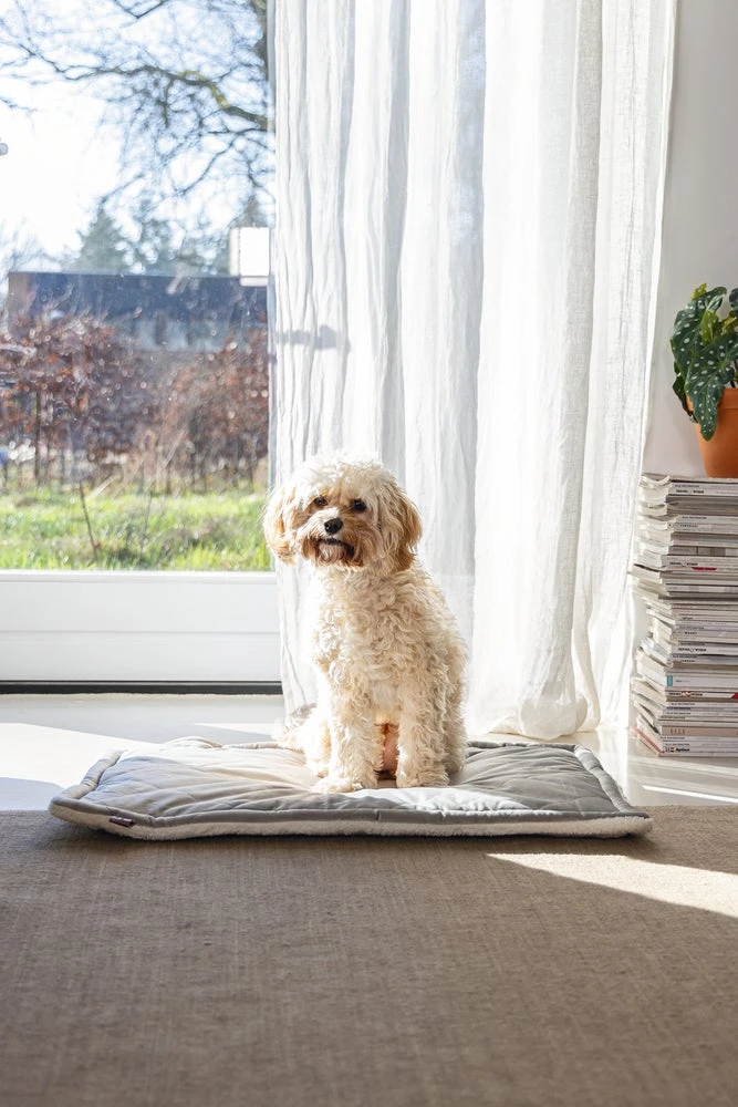 Designed By Lotte Benchkussen Gisel Grijs 62 X 44 X 4 Cm 8 Designed By Lotte Benchkussen Gisel Grijs 62 X 44 X 4 Cm - Afbeelding 6