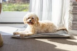 Designed By Lotte Benchkussen Gisel Grijs 62 X 44 X 4 Cm 16 Designed By Lotte Benchkussen Gisel Grijs 62 X 44 X 4 Cm -Beeztees || ROYAL CANIN || FLEXI Verkoopwinkel 8712695202530 7