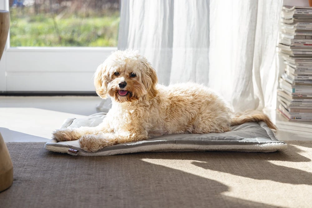 Designed By Lotte Benchkussen Gisel Grijs 62 X 44 X 4 Cm 9 Designed By Lotte Benchkussen Gisel Grijs 62 X 44 X 4 Cm - Afbeelding 7