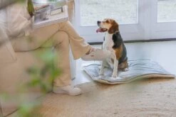 Designed By Lotte Benchkussen Gisel Grijs 89 X 60 X 6 Cm -Beeztees || ROYAL CANIN || FLEXI Verkoopwinkel 8712695202554 7